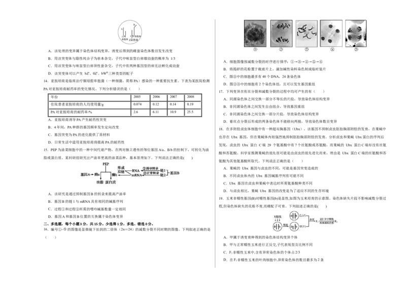 第七单元生物的变异与进化（B卷能力提升练）-2023年高考生物一轮复习单元滚动双测卷（新高考专用）（考试版）_新高考复习资料_2023年新高考复习资料_一轮复习