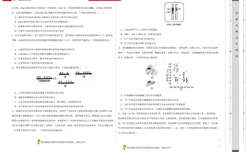 第七单元生物的变异与进化（B卷能力提升练）-2023年高考生物一轮复习单元滚动双测卷（新高考专用）（考试版）_新高考复习资料_2023年新高考复习资料_一轮复习