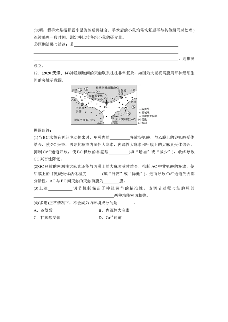 第八单元　课时练38　神经冲动的产生和传导_2025年新高考资料_一轮复习_2025大一轮复习讲义+课件（完结）_2025大一轮复习讲义生物学生用书Word版文档整书_2025一轮复习73练