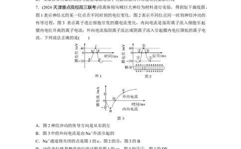 第八单元　课时练38　神经冲动的产生和传导_2025年新高考资料_一轮复习_2025大一轮复习讲义+课件（完结）_2025大一轮复习讲义生物学生用书Word版文档整书_2025一轮复习73练