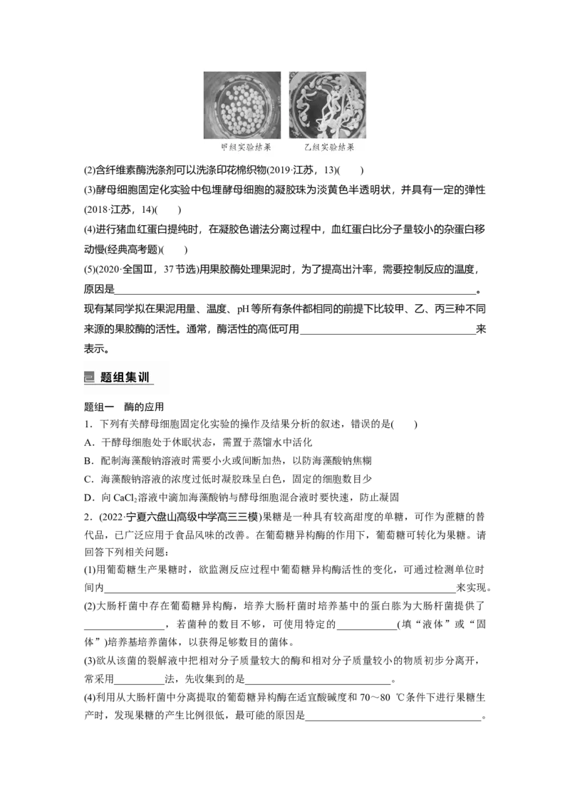第一篇专题十考点二　酶的应用及蛋白质的提取与分离_通用版（老高考）复习资料_2023年复习资料_二轮复习_2023年高考生物二轮复习讲义+课件（全国版）_学生版_大二轮专题复习讲义