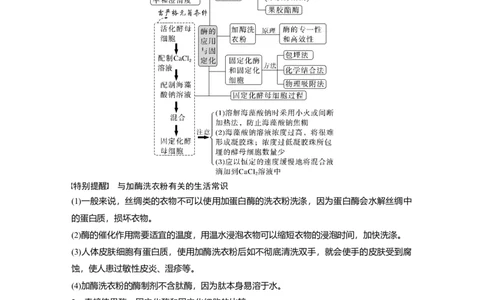 第一篇专题十考点二　酶的应用及蛋白质的提取与分离_通用版（老高考）复习资料_2023年复习资料_二轮复习_2023年高考生物二轮复习讲义+课件（全国版）_学生版_大二轮专题复习讲义