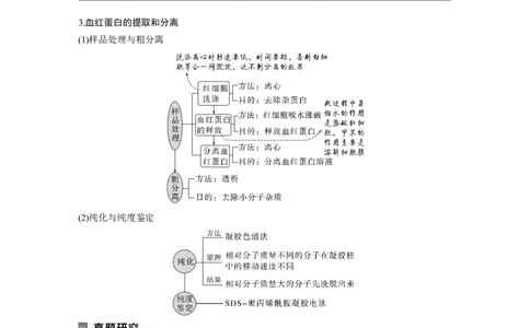 第一篇专题十考点二　酶的应用及蛋白质的提取与分离_通用版（老高考）复习资料_2023年复习资料_二轮复习_2023年高考生物二轮复习讲义+课件（全国版）_学生版_大二轮专题复习讲义