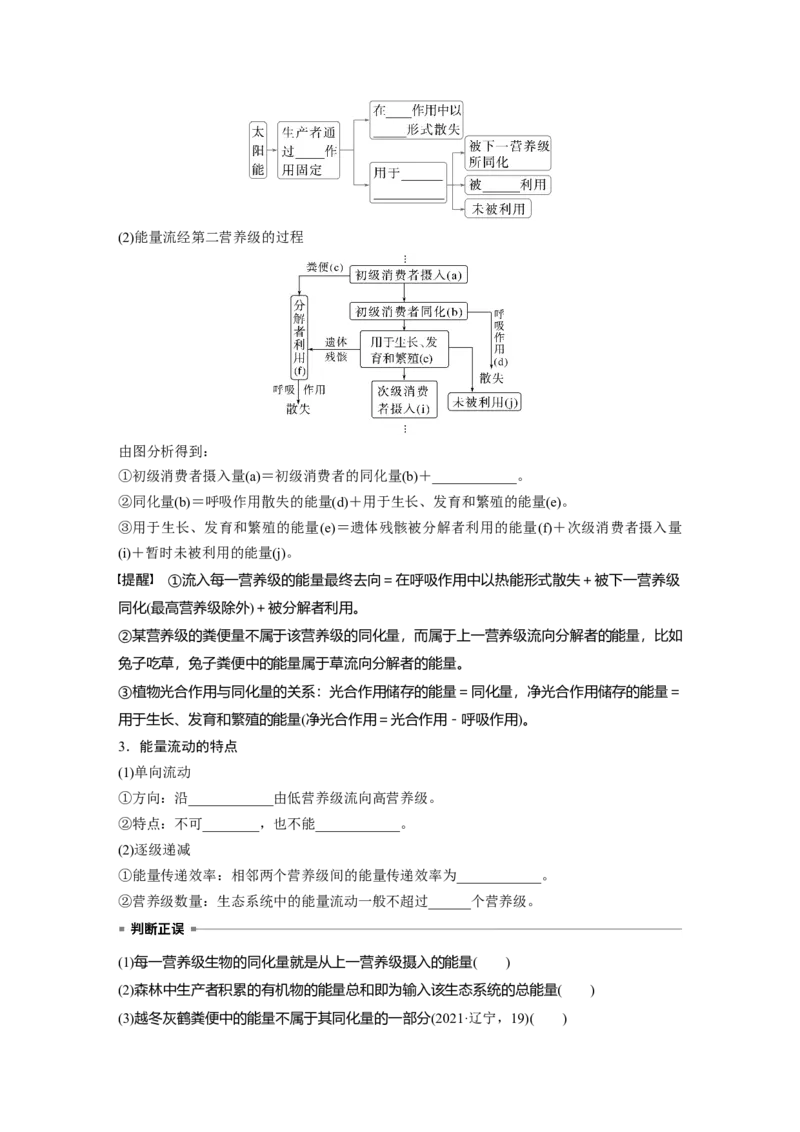 第九单元　第52课时　生态系统的能量流动_2025年新高考资料_一轮复习_2025大一轮复习讲义+课件（完结）_2025大一轮复习讲义生物学生用书Word版文档整书_2025大一轮复习讲义