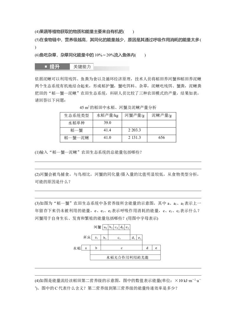 第九单元　第52课时　生态系统的能量流动_2025年新高考资料_一轮复习_2025大一轮复习讲义+课件（完结）_2025大一轮复习讲义生物学生用书Word版文档整书_2025大一轮复习讲义