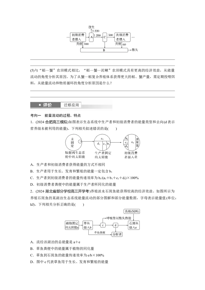 第九单元　第52课时　生态系统的能量流动_2025年新高考资料_一轮复习_2025大一轮复习讲义+课件（完结）_2025大一轮复习讲义生物学生用书Word版文档整书_2025大一轮复习讲义