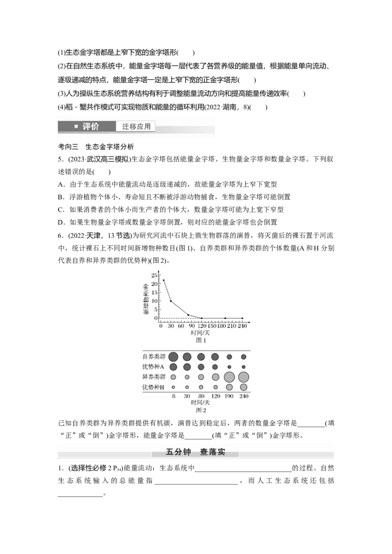 第九单元　第52课时　生态系统的能量流动_2025年新高考资料_一轮复习_2025大一轮复习讲义+课件（完结）_2025大一轮复习讲义生物学生用书Word版文档整书_2025大一轮复习讲义