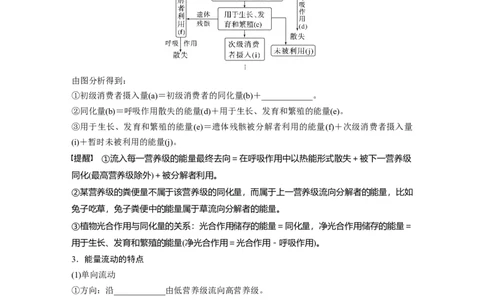 第九单元　第52课时　生态系统的能量流动_2025年新高考资料_一轮复习_2025大一轮复习讲义+课件（完结）_2025大一轮复习讲义生物学生用书Word版文档整书_2025大一轮复习讲义