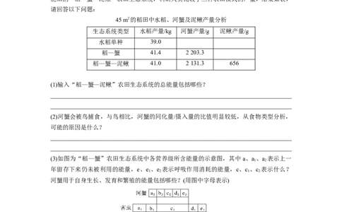 第九单元　第52课时　生态系统的能量流动_2025年新高考资料_一轮复习_2025大一轮复习讲义+课件（完结）_2025大一轮复习讲义生物学生用书Word版文档整书_2025大一轮复习讲义