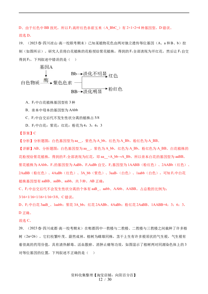 第五单元基因的传递规律（测试）（解析版）_新高考复习资料_2024年新高考复习资料_一轮复习资料_完2024年高考生物一轮复习讲练测(课件+讲义+练习)（新高考）_单元测试