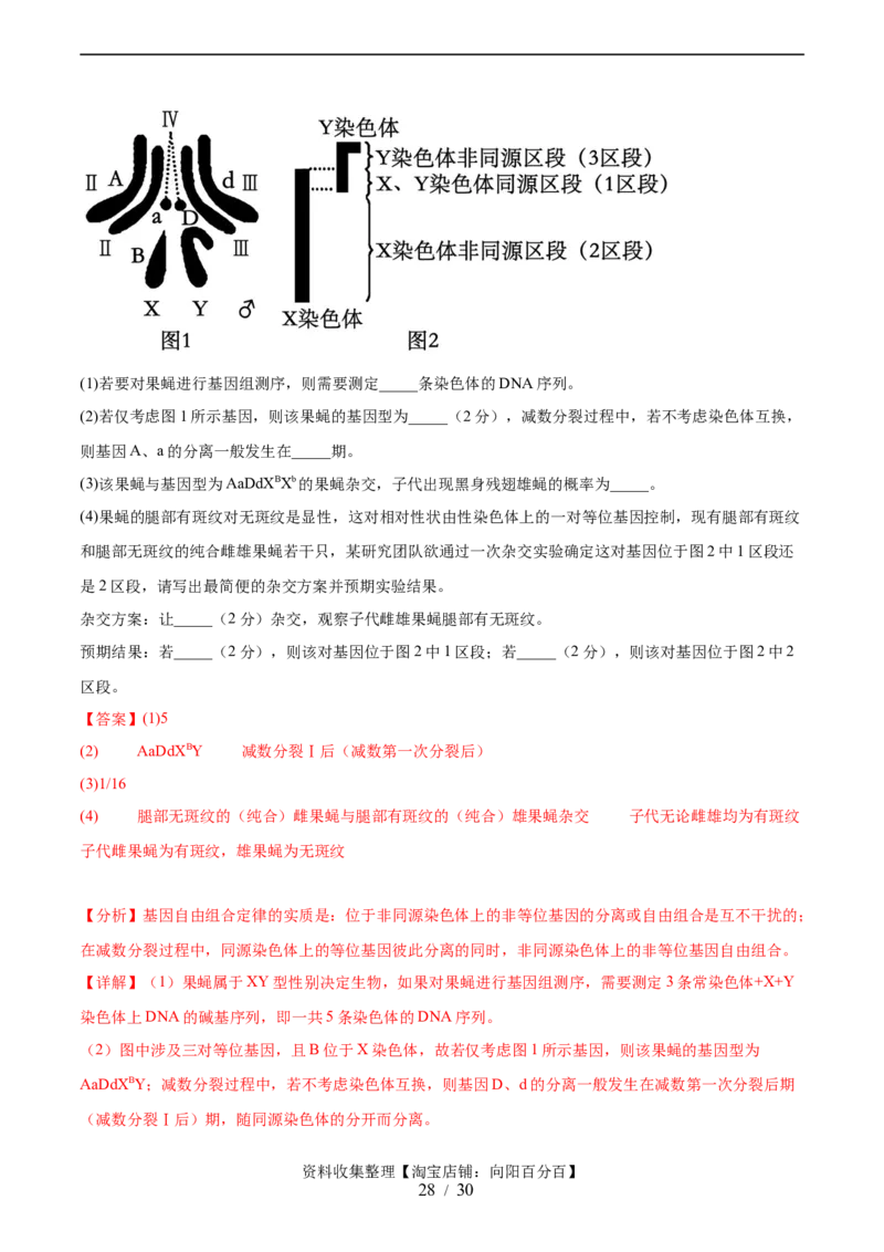 第五单元基因的传递规律（测试）（解析版）_新高考复习资料_2024年新高考复习资料_一轮复习资料_完2024年高考生物一轮复习讲练测(课件+讲义+练习)（新高考）_单元测试