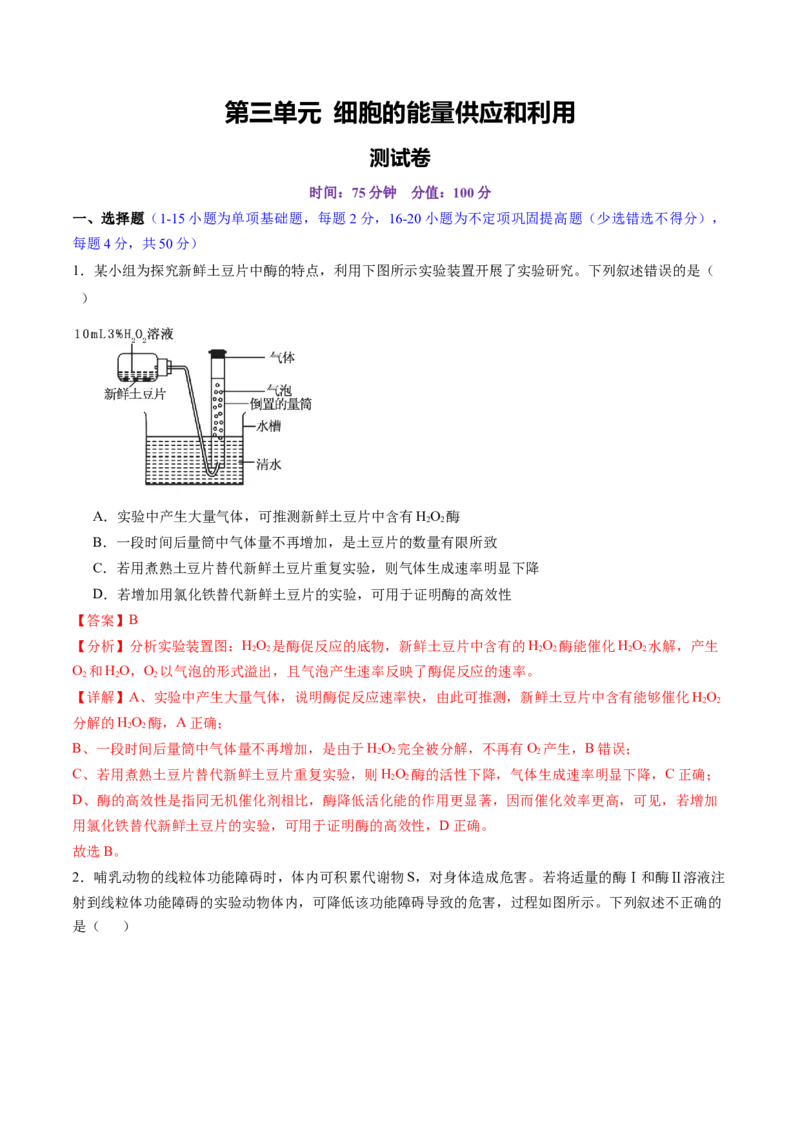 第三单元细胞的能量供应和利用（测试）（解析版）_2025年新高考资料_一轮复习_2025年高考生物一轮复习讲练测（新教材新高考）