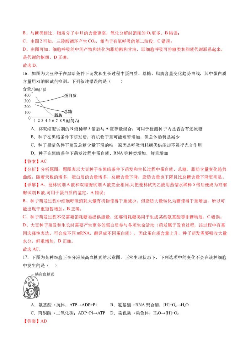 第三单元细胞的能量供应和利用（测试）（解析版）_2025年新高考资料_一轮复习_2025年高考生物一轮复习讲练测（新教材新高考）