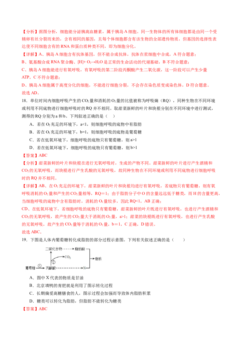 第三单元细胞的能量供应和利用（测试）（解析版）_2025年新高考资料_一轮复习_2025年高考生物一轮复习讲练测（新教材新高考）