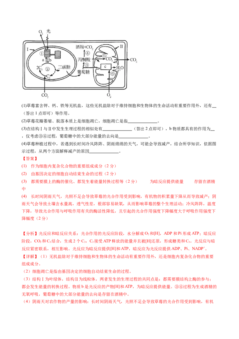 第三单元细胞的能量供应和利用（测试）（解析版）_2025年新高考资料_一轮复习_2025年高考生物一轮复习讲练测（新教材新高考）