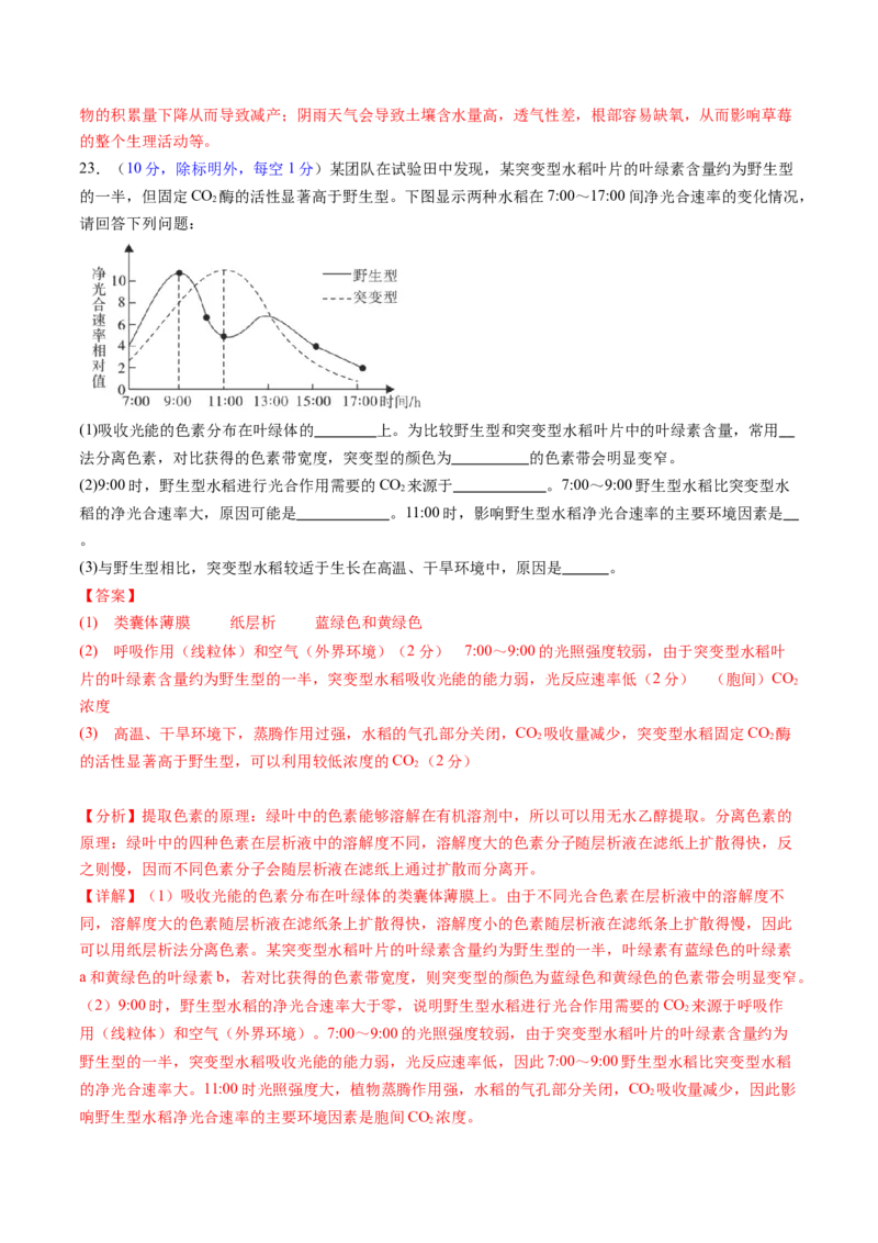 第三单元细胞的能量供应和利用（测试）（解析版）_2025年新高考资料_一轮复习_2025年高考生物一轮复习讲练测（新教材新高考）