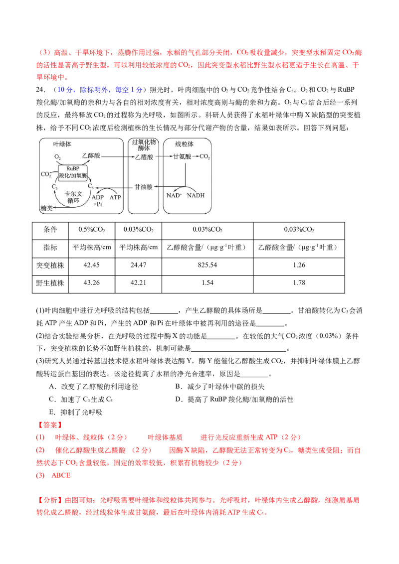 第三单元细胞的能量供应和利用（测试）（解析版）_2025年新高考资料_一轮复习_2025年高考生物一轮复习讲练测（新教材新高考）