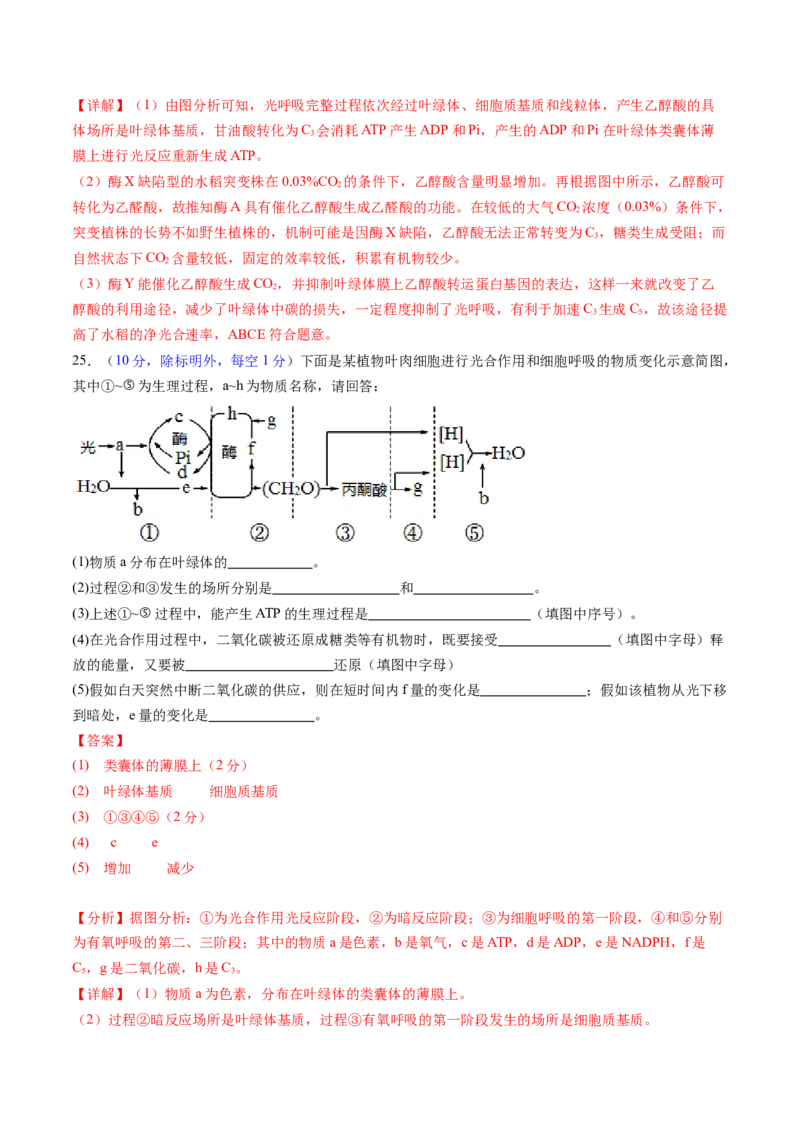 第三单元细胞的能量供应和利用（测试）（解析版）_2025年新高考资料_一轮复习_2025年高考生物一轮复习讲练测（新教材新高考）