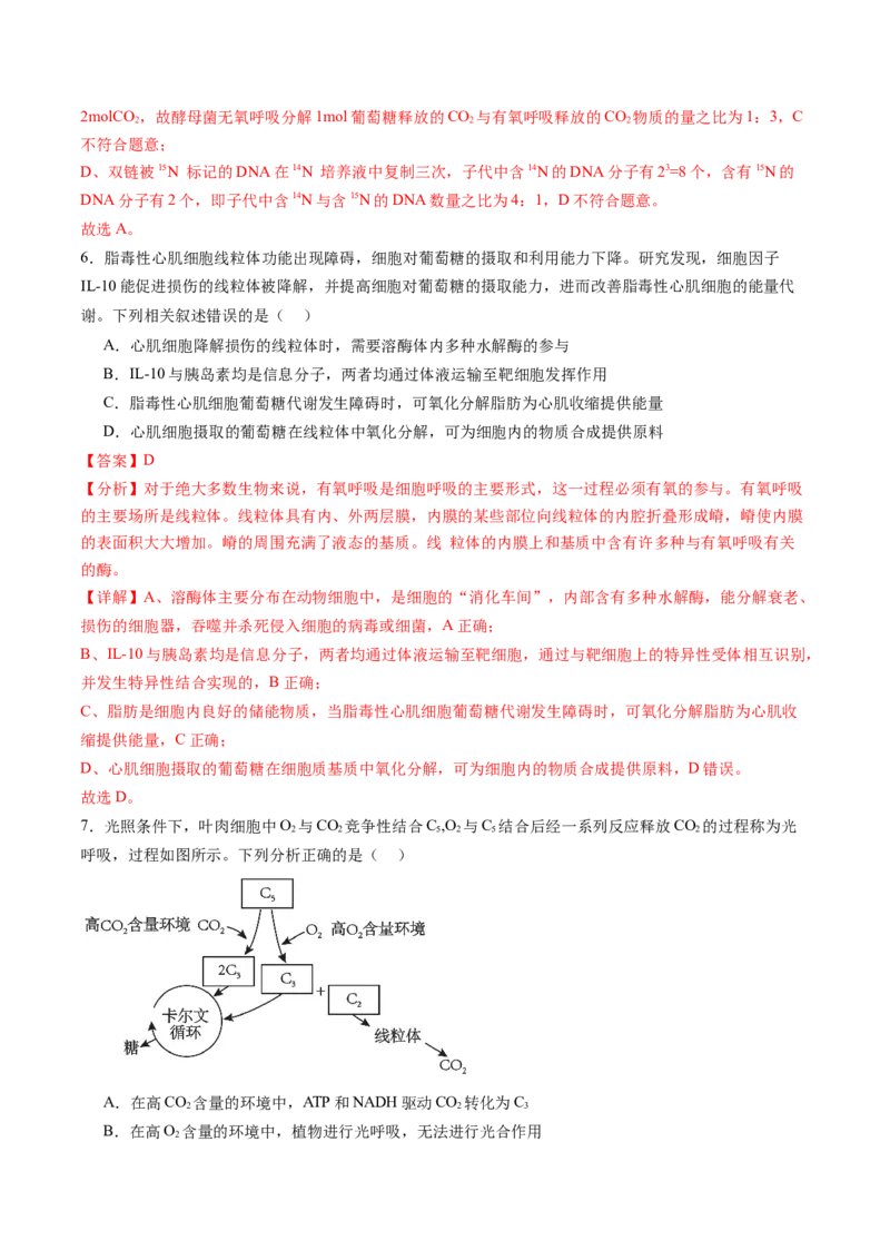 第三单元细胞的能量供应和利用（测试）（解析版）_2025年新高考资料_一轮复习_2025年高考生物一轮复习讲练测（新教材新高考）
