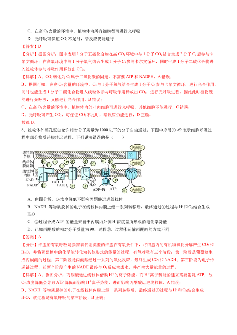 第三单元细胞的能量供应和利用（测试）（解析版）_2025年新高考资料_一轮复习_2025年高考生物一轮复习讲练测（新教材新高考）