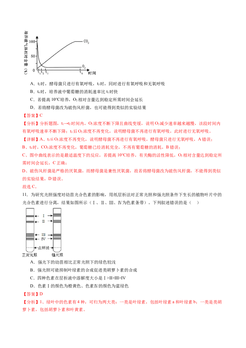 第三单元细胞的能量供应和利用（测试）（解析版）_2025年新高考资料_一轮复习_2025年高考生物一轮复习讲练测（新教材新高考）