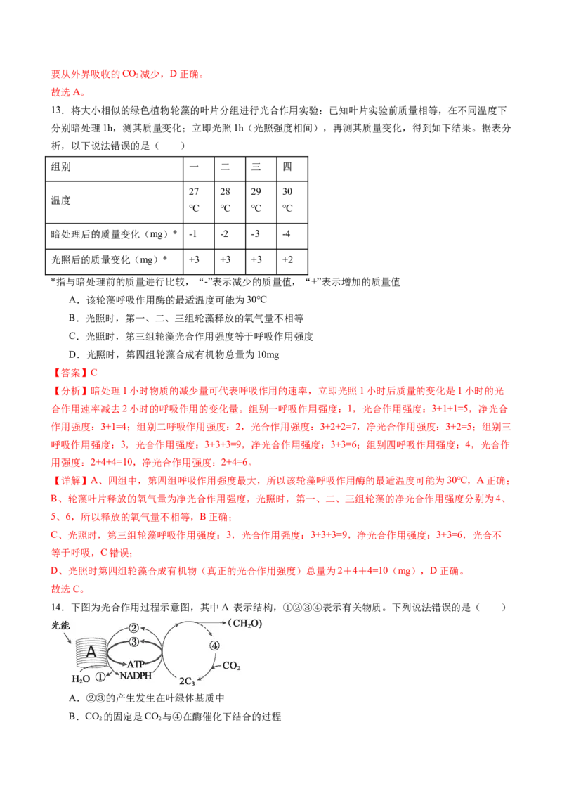 第三单元细胞的能量供应和利用（测试）（解析版）_2025年新高考资料_一轮复习_2025年高考生物一轮复习讲练测（新教材新高考）