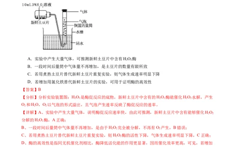 第三单元细胞的能量供应和利用（测试）（解析版）_2025年新高考资料_一轮复习_2025年高考生物一轮复习讲练测（新教材新高考）