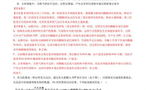 第三单元细胞的能量供应和利用（测试）（解析版）_2025年新高考资料_一轮复习_2025年高考生物一轮复习讲练测（新教材新高考）