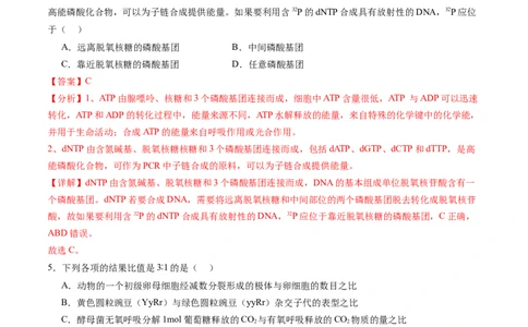 第三单元细胞的能量供应和利用（测试）（解析版）_2025年新高考资料_一轮复习_2025年高考生物一轮复习讲练测（新教材新高考）