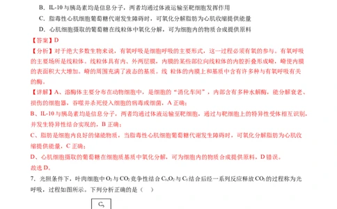 第三单元细胞的能量供应和利用（测试）（解析版）_2025年新高考资料_一轮复习_2025年高考生物一轮复习讲练测（新教材新高考）