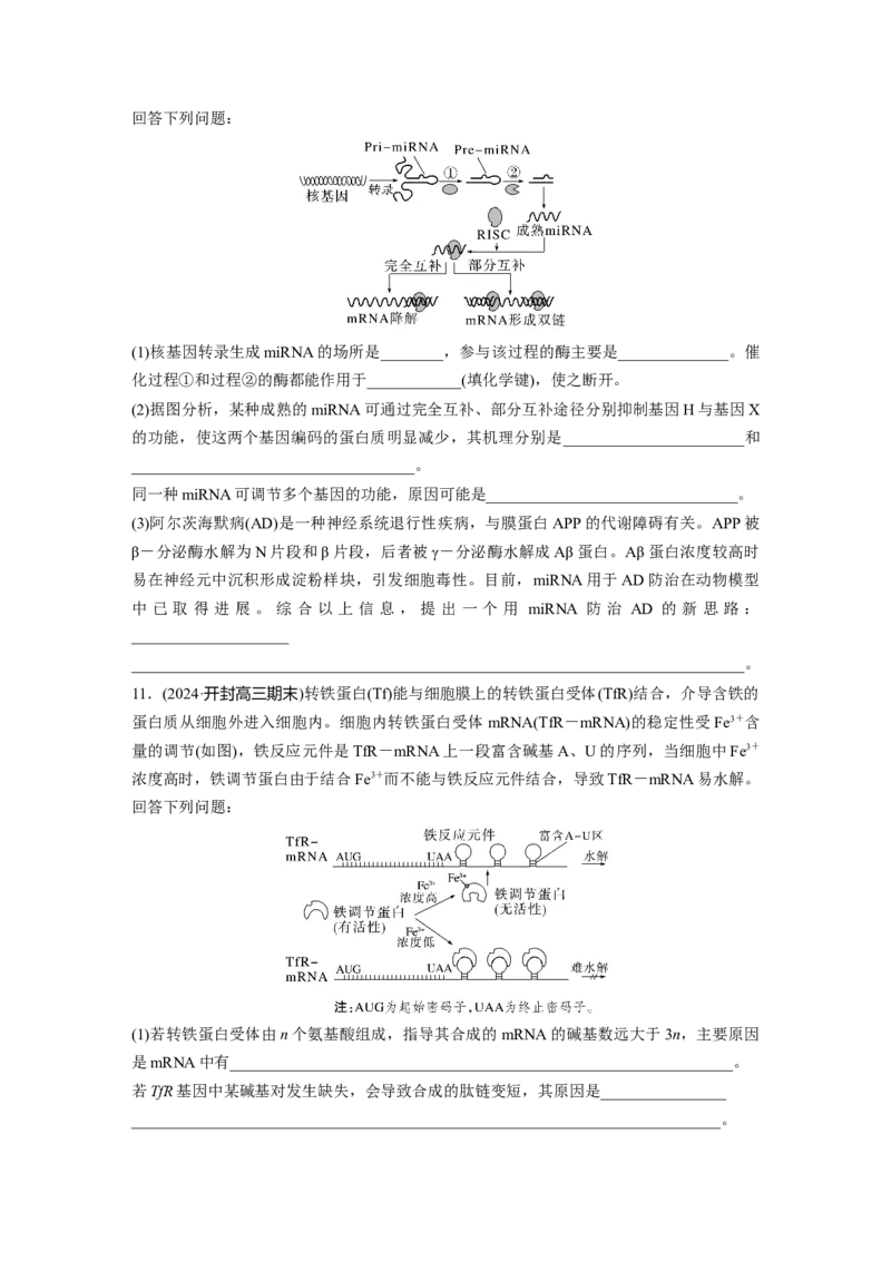 第六单元　课时练31　基因的表达_2025年新高考资料_一轮复习_2025大一轮复习讲义+课件（完结）_2025大一轮复习讲义生物学生用书Word版文档整书_2025一轮复习73练