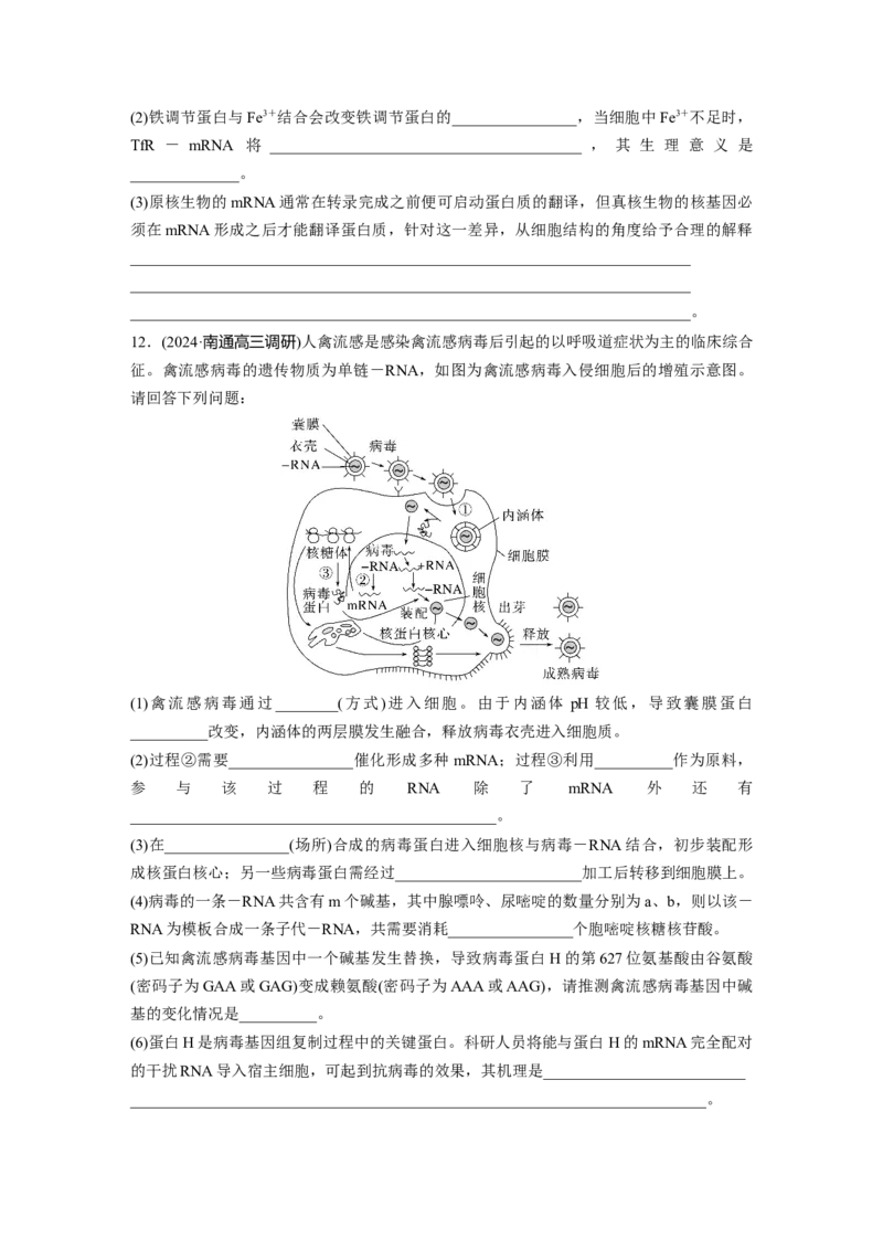 第六单元　课时练31　基因的表达_2025年新高考资料_一轮复习_2025大一轮复习讲义+课件（完结）_2025大一轮复习讲义生物学生用书Word版文档整书_2025一轮复习73练