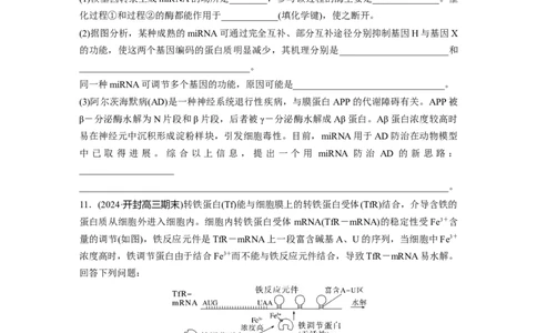 第六单元　课时练31　基因的表达_2025年新高考资料_一轮复习_2025大一轮复习讲义+课件（完结）_2025大一轮复习讲义生物学生用书Word版文档整书_2025一轮复习73练
