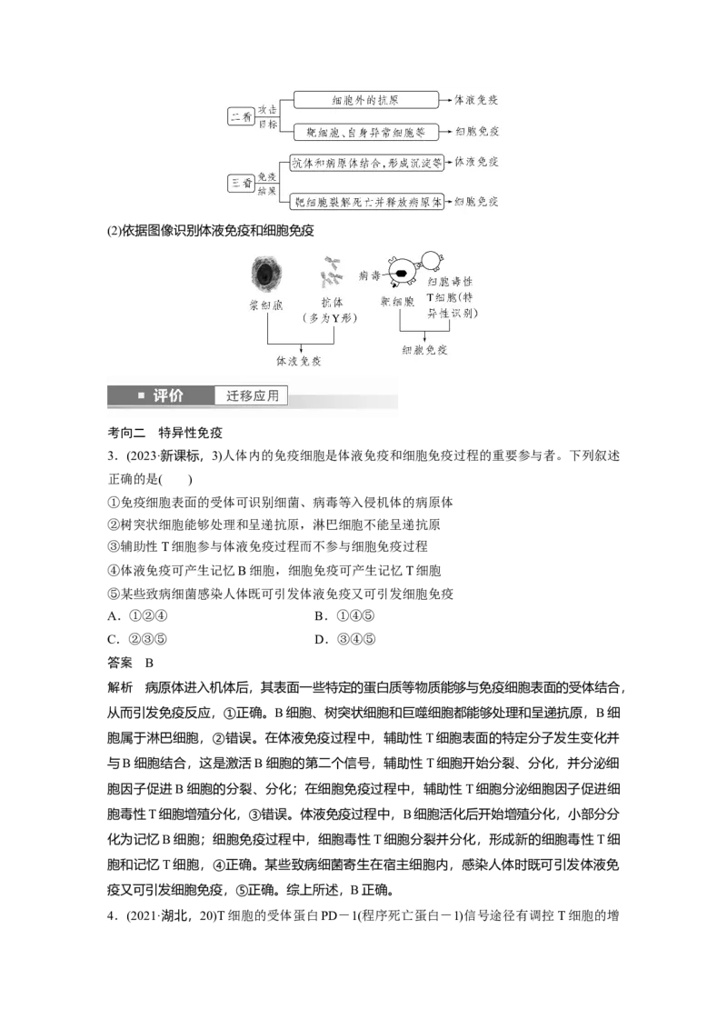 第八单元　第42课时　免疫系统的组成、功能及特异性免疫_2025年新高考资料_一轮复习_2025大一轮复习讲义+课件（完结）_2025大一轮复习讲义生物教师用书Word版文档整书