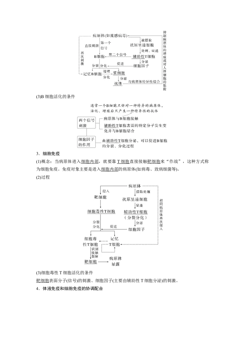 第八单元　第42课时　免疫系统的组成、功能及特异性免疫_2025年新高考资料_一轮复习_2025大一轮复习讲义+课件（完结）_2025大一轮复习讲义生物教师用书Word版文档整书