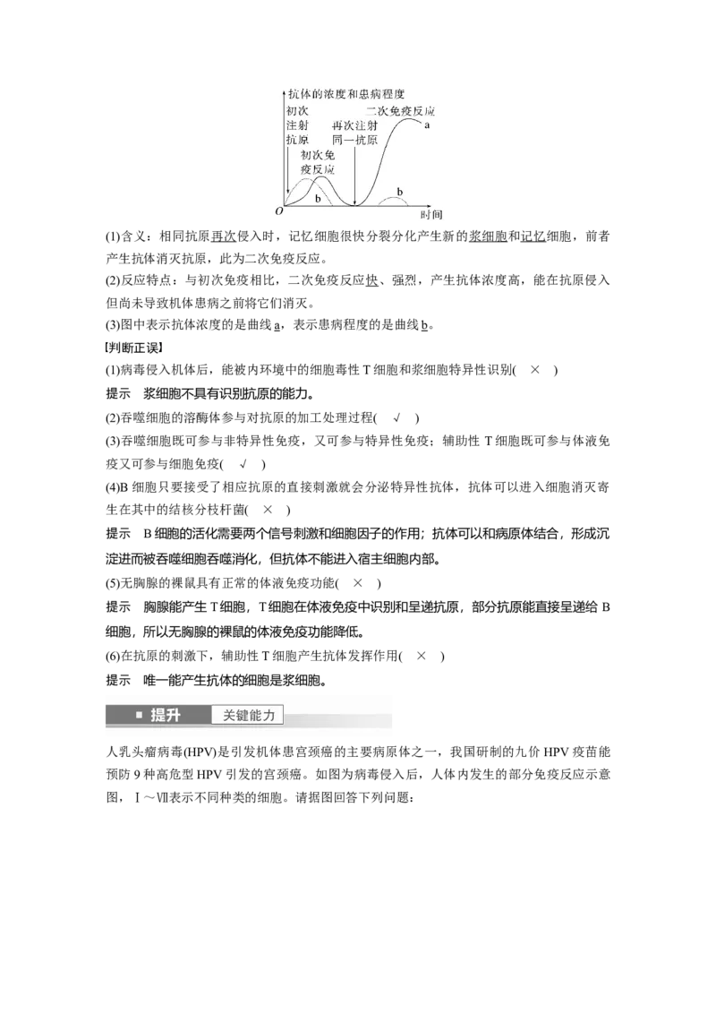 第八单元　第42课时　免疫系统的组成、功能及特异性免疫_2025年新高考资料_一轮复习_2025大一轮复习讲义+课件（完结）_2025大一轮复习讲义生物教师用书Word版文档整书