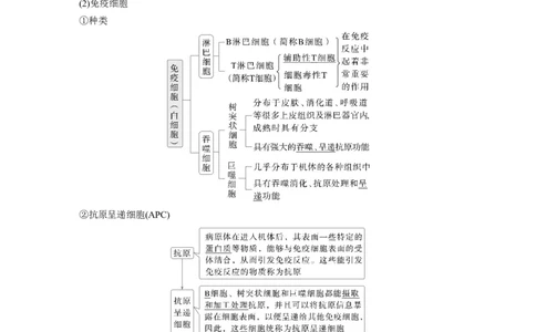 第八单元　第42课时　免疫系统的组成、功能及特异性免疫_2025年新高考资料_一轮复习_2025大一轮复习讲义+课件（完结）_2025大一轮复习讲义生物教师用书Word版文档整书