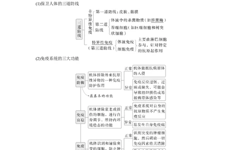 第八单元　第42课时　免疫系统的组成、功能及特异性免疫_2025年新高考资料_一轮复习_2025大一轮复习讲义+课件（完结）_2025大一轮复习讲义生物教师用书Word版文档整书