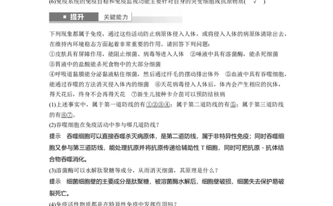 第八单元　第42课时　免疫系统的组成、功能及特异性免疫_2025年新高考资料_一轮复习_2025大一轮复习讲义+课件（完结）_2025大一轮复习讲义生物教师用书Word版文档整书