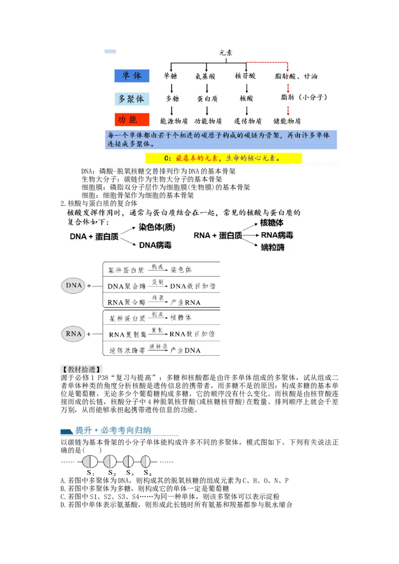 第4讲细胞中的蛋白质和核酸（讲义）（教师版）_新高考复习资料_2024年新高考复习资料_一轮复习资料_完2024年高考生物一轮复习讲练测(课件+讲义+练习)（新高考）_讲义+练习