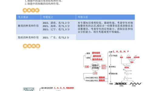 第4讲细胞中的蛋白质和核酸（讲义）（教师版）_新高考复习资料_2024年新高考复习资料_一轮复习资料_完2024年高考生物一轮复习讲练测(课件+讲义+练习)（新高考）_讲义+练习