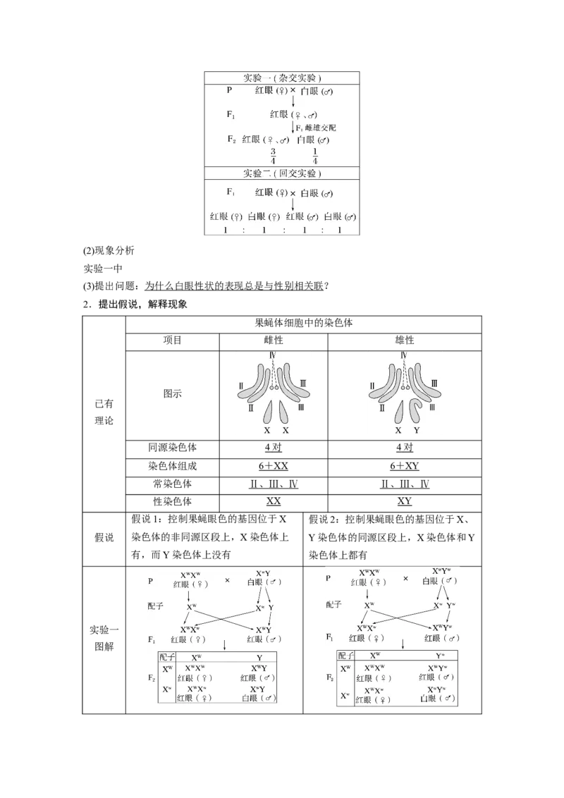第五单元　第27课时　基因在染色体上_2025年新高考资料_一轮复习_2025大一轮复习讲义+课件（完结）_2025大一轮复习讲义生物教师用书Word版文档整书_配套Word版文档第三~六单元