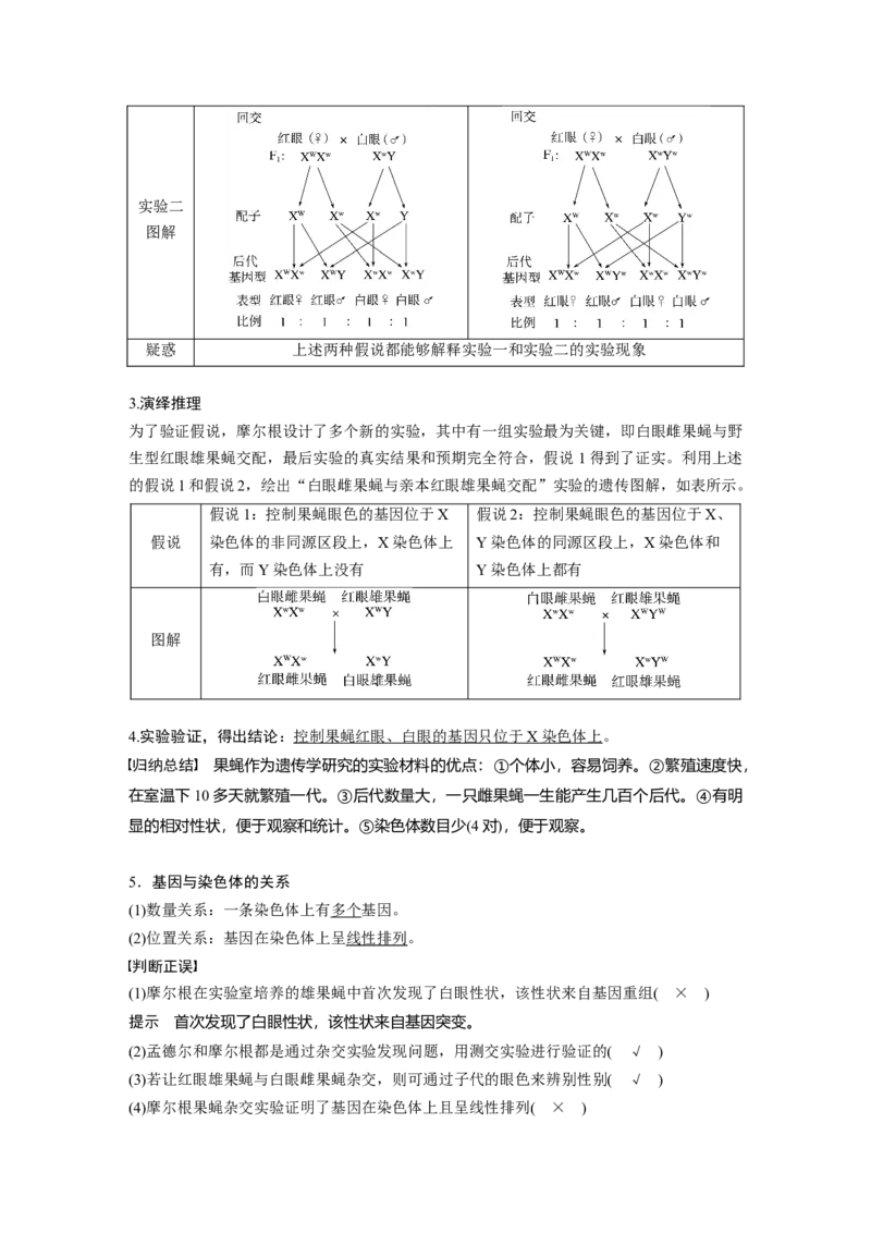 第五单元　第27课时　基因在染色体上_2025年新高考资料_一轮复习_2025大一轮复习讲义+课件（完结）_2025大一轮复习讲义生物教师用书Word版文档整书_配套Word版文档第三~六单元