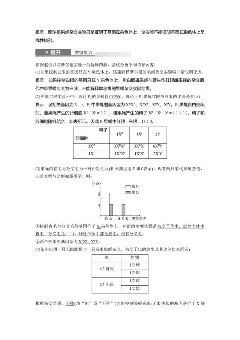 第五单元　第27课时　基因在染色体上_2025年新高考资料_一轮复习_2025大一轮复习讲义+课件（完结）_2025大一轮复习讲义生物教师用书Word版文档整书_配套Word版文档第三~六单元