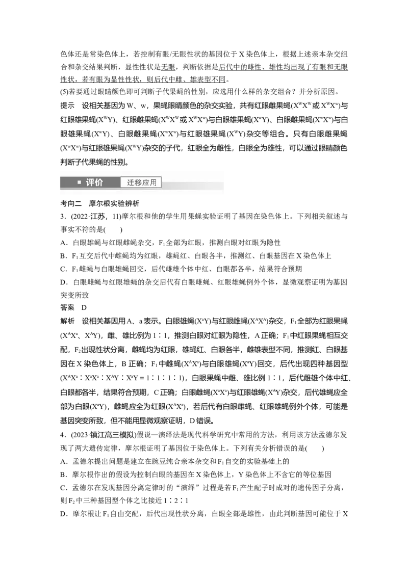 第五单元　第27课时　基因在染色体上_2025年新高考资料_一轮复习_2025大一轮复习讲义+课件（完结）_2025大一轮复习讲义生物教师用书Word版文档整书_配套Word版文档第三~六单元