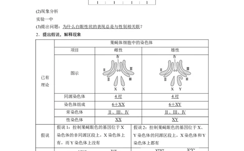 第五单元　第27课时　基因在染色体上_2025年新高考资料_一轮复习_2025大一轮复习讲义+课件（完结）_2025大一轮复习讲义生物教师用书Word版文档整书_配套Word版文档第三~六单元