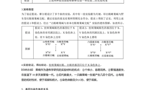 第五单元　第27课时　基因在染色体上_2025年新高考资料_一轮复习_2025大一轮复习讲义+课件（完结）_2025大一轮复习讲义生物教师用书Word版文档整书_配套Word版文档第三~六单元