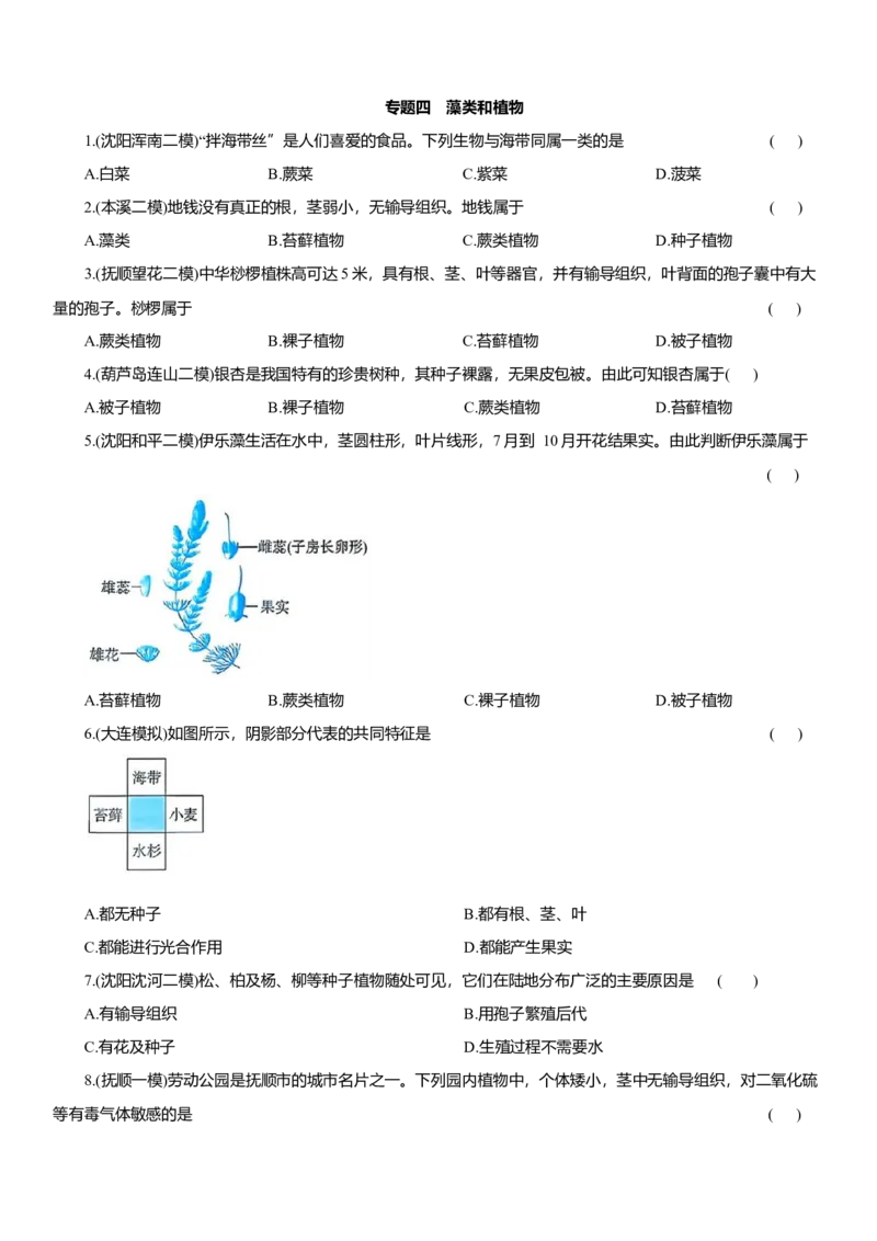 2026年中考生物复习专题练习：专题四藻类和植物（含答案）_6生物中考复习_2026年中考复习（更新中）_2026年中考生物一轮复习专题练习（含答案）