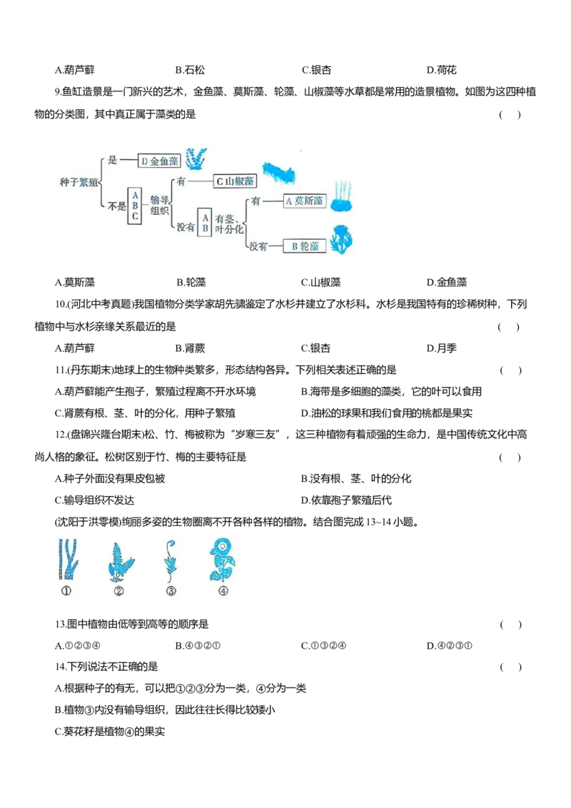 2026年中考生物复习专题练习：专题四藻类和植物（含答案）_6生物中考复习_2026年中考复习（更新中）_2026年中考生物一轮复习专题练习（含答案）