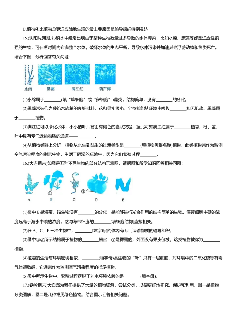 2026年中考生物复习专题练习：专题四藻类和植物（含答案）_6生物中考复习_2026年中考复习（更新中）_2026年中考生物一轮复习专题练习（含答案）